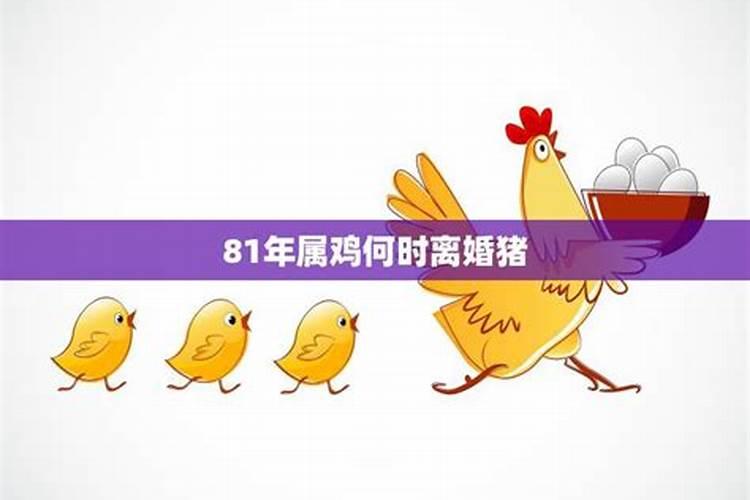 81年属鸡离婚明年怎么样