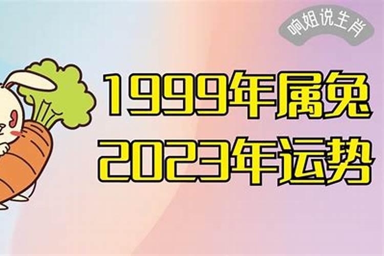 1999年兔一生命运