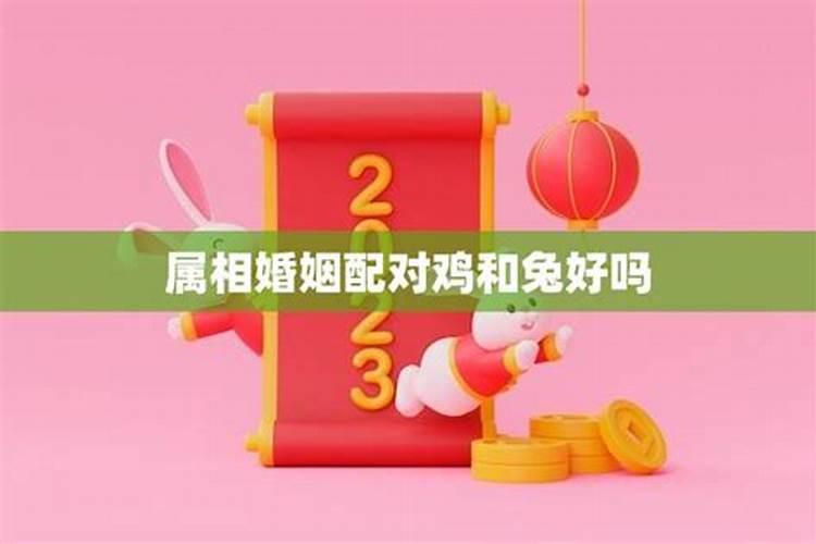 属鸡的29岁运势怎么样啊