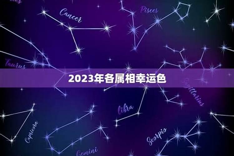 属马幸运色是什么