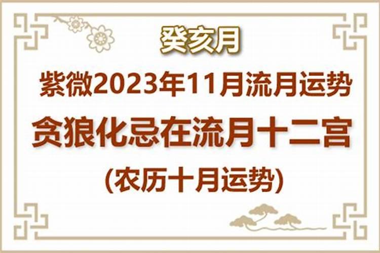 命宫贪狼2023年运势