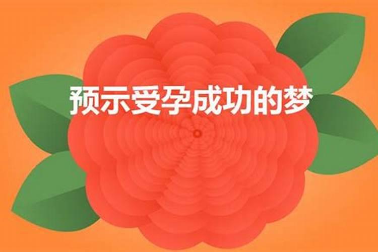 2023年几月八月十五出生好