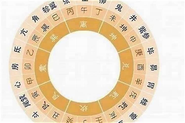 属兔的不能与属什么合婚呢