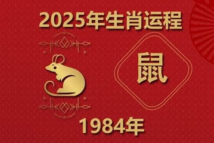 1984年今年的运势是好还是坏