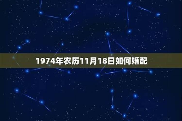 1974年11月属什么