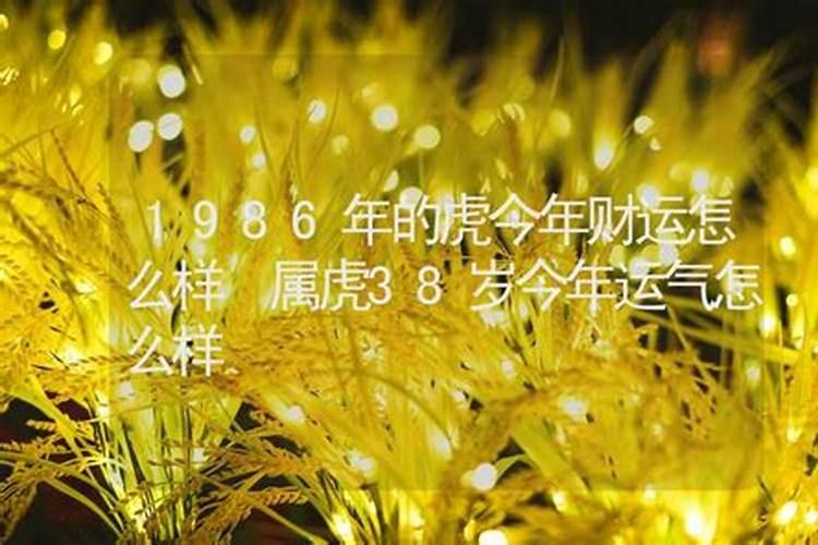 38岁今年运势如何