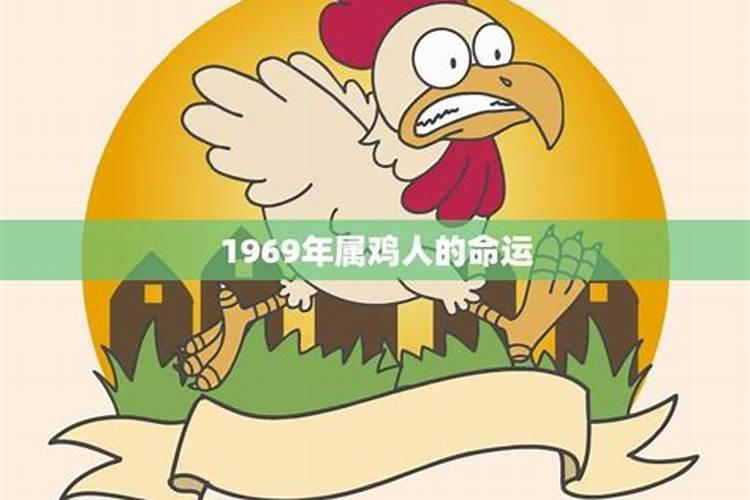 1969年属鸡人的命运