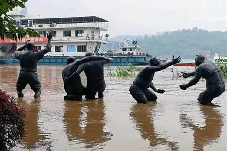 梦见洪水冲走宠物猫咪