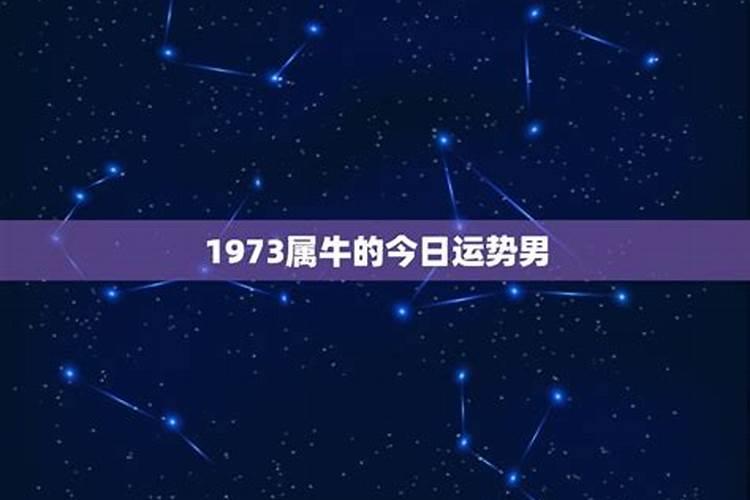 1973属牛男2021年全年运势