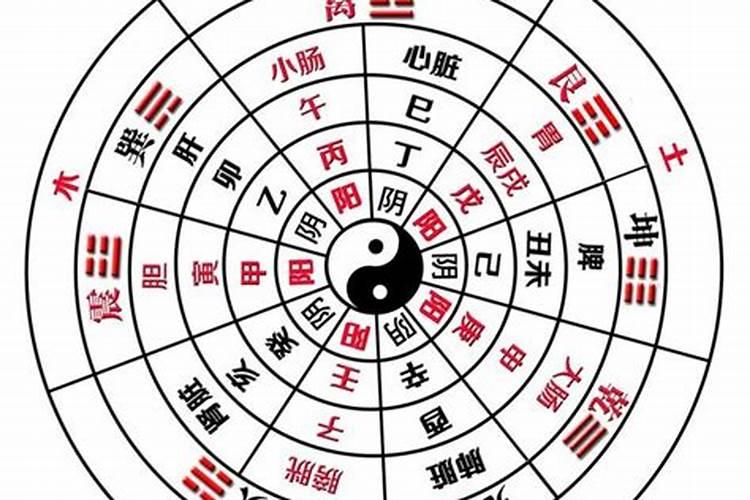 乙巳八字案例100命理