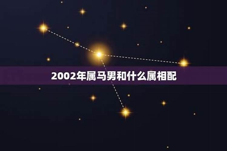 2002年的马男孩配什么样的属相女孩婚配最好