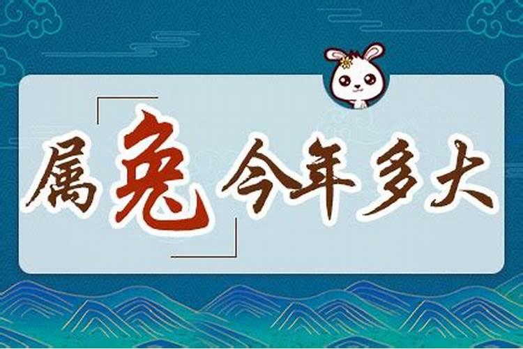 属兔今年几岁今年多大