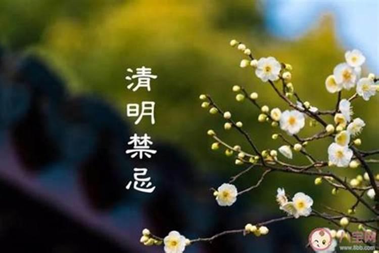 清明节能不能祭祀祖先