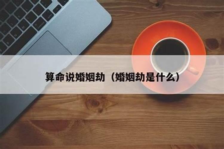 属牛和属羊的八字合不合婚配