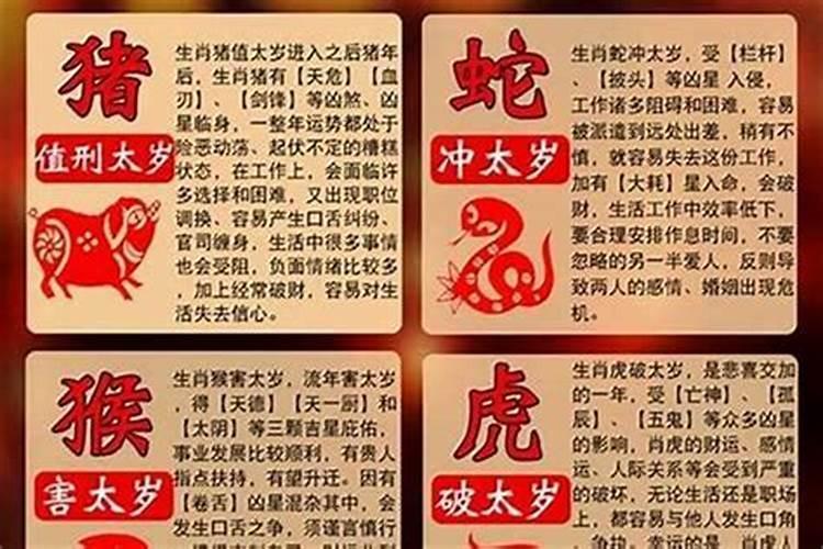 犯太岁三合生肖戴几个