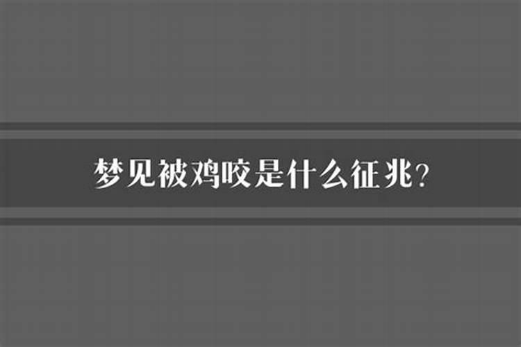 梦见被鸡咬了是什么征兆