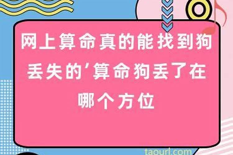 算卦狗丢了还能找回来吗