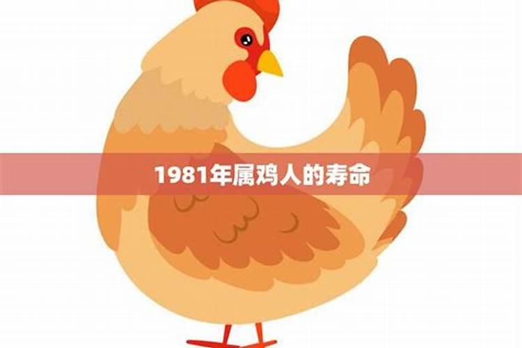 1981年出生2021年属鸡人的全年运势