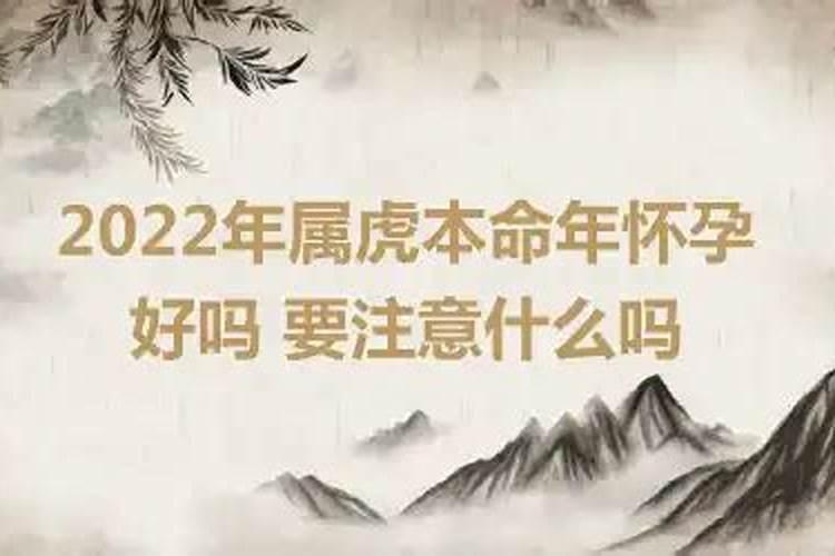 今年本命年怀孕好不好