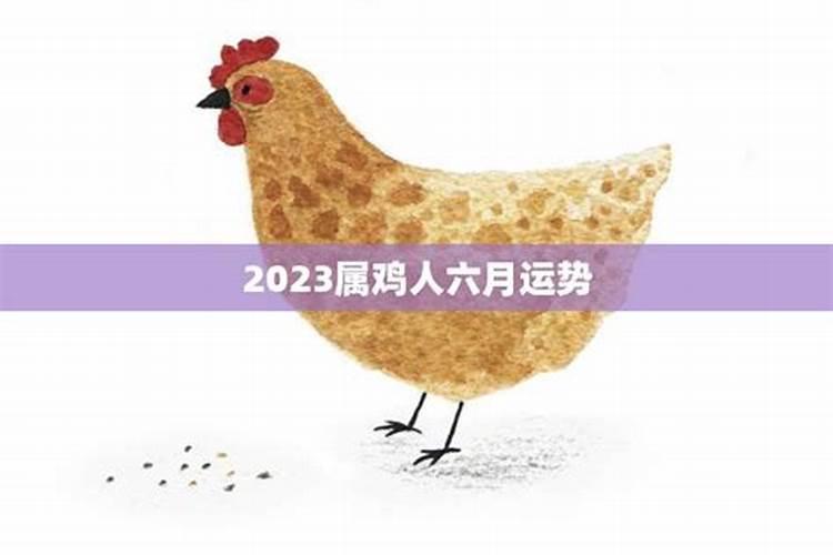 2023属鸡的哪个月运势和财运好