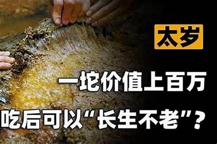 属老鼠的和属什么的合婚好一点