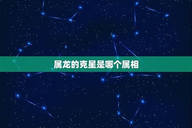 狗的克星是哪个生肖