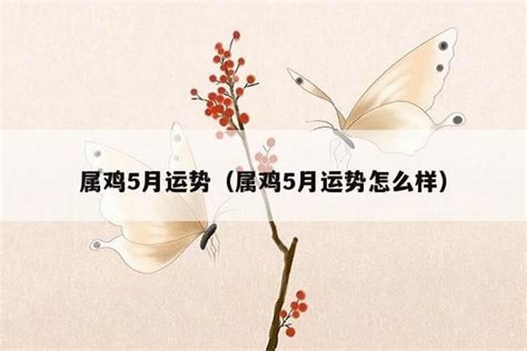 属鸡5月份运势怎么样