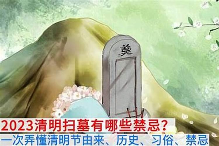 清明祭扫有什么讲究