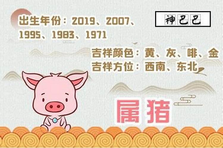 2021年属猪全年运势71年出生是什么命