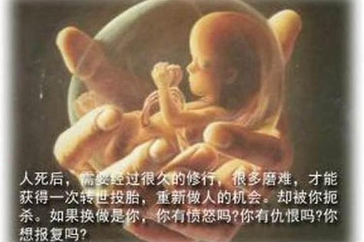 堕胎的胎灵去哪了