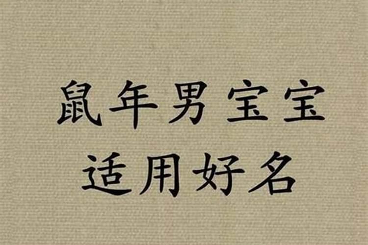 属鼠的男孩取名字宜用什么字