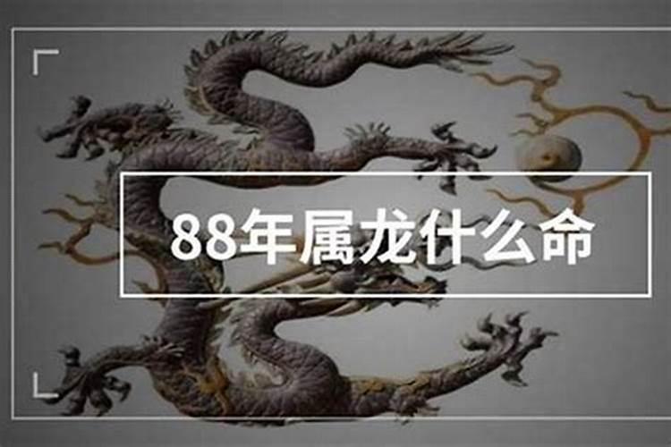 1988年出生属龙是什么命