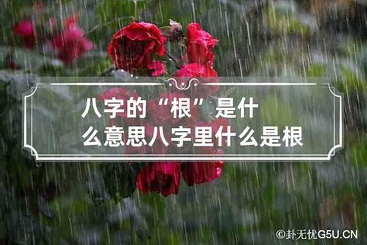 婚姻八字有根什么意思