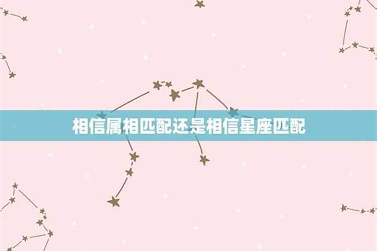 婚配要相信属相吗