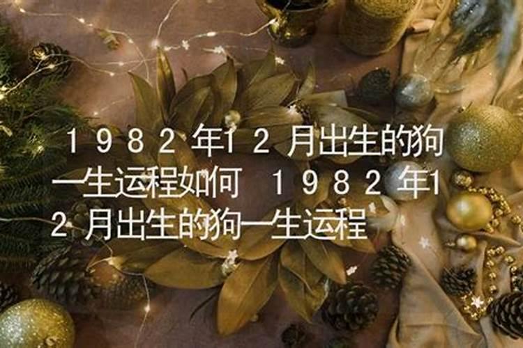 1982年哪个月出生一生运势好