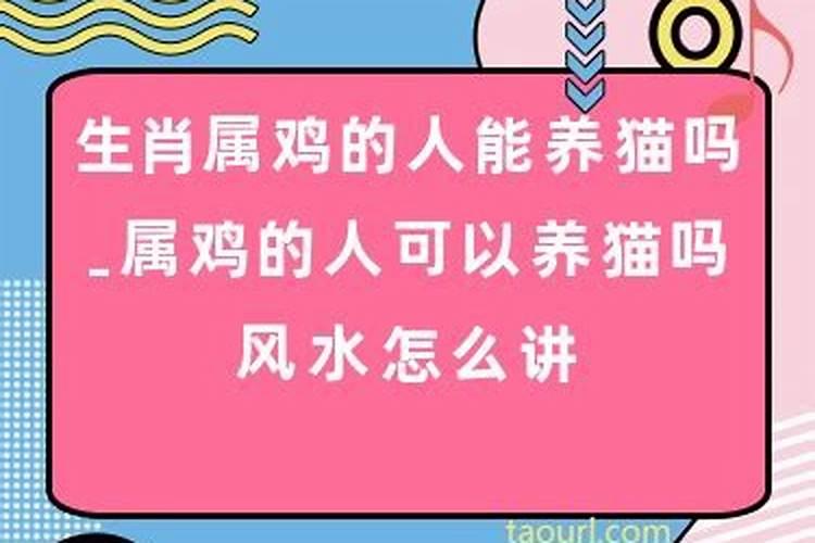 属鸡的人可以养狗