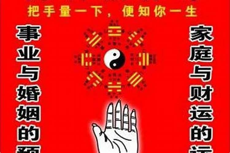 属兔人今年的事业运势2023年怎么样