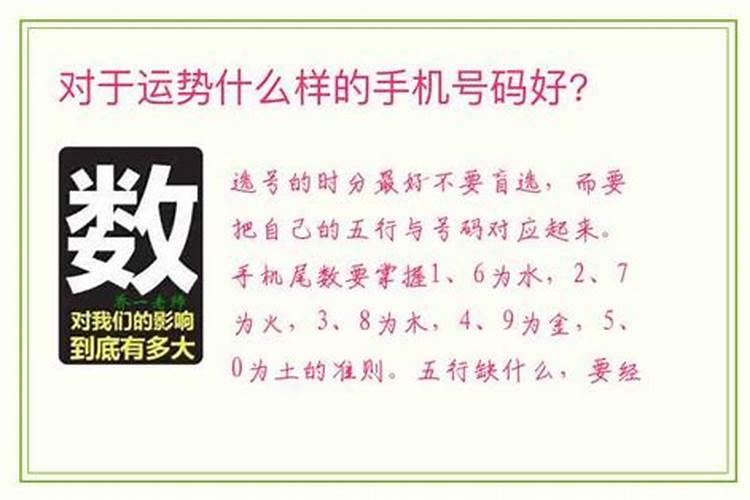 属鸡的男人今年的运势如何