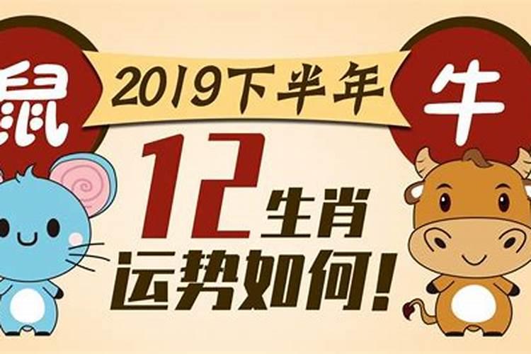 2021属鼠人毎月运势