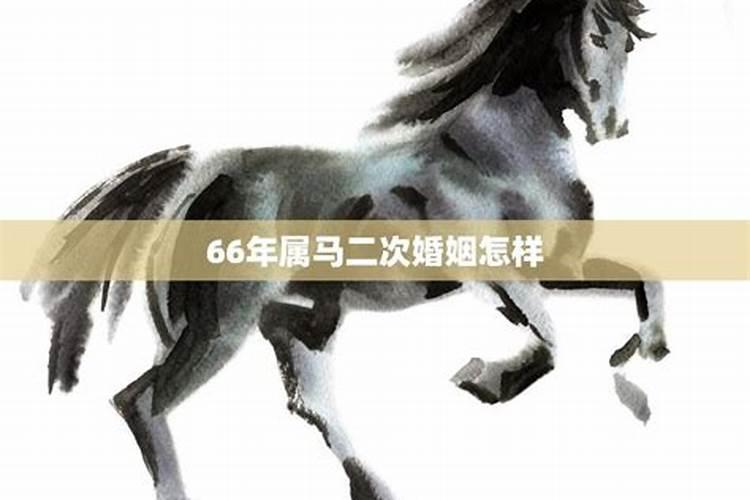 66年属马2021年婚姻