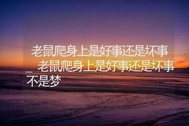 梦见老鼠是什么意思爬到自己身上