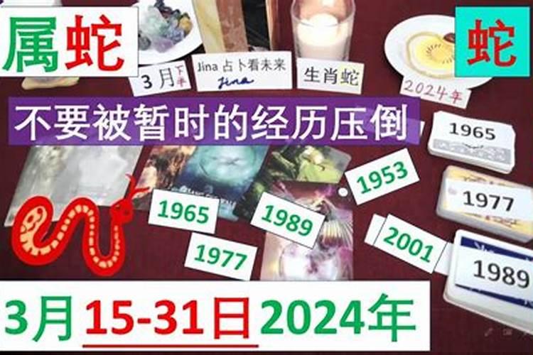 属猪和属兔今年运势如何样