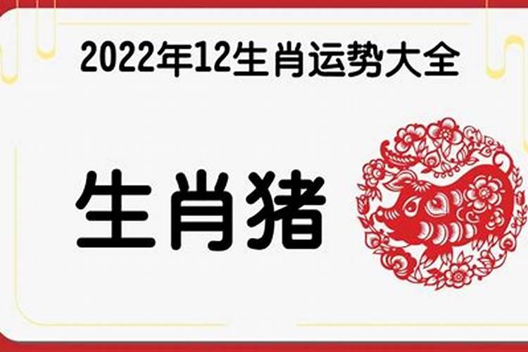 猪虎年运势2022年运程