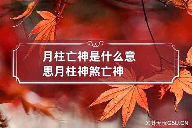 神煞亡神代表什么生肖