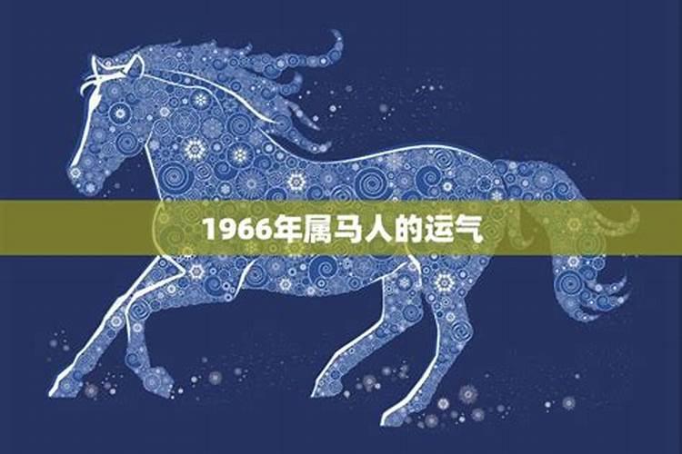 属马1966年属马今年运势