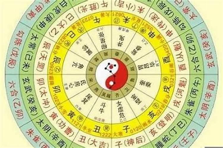 怎么根据八字看天干五合