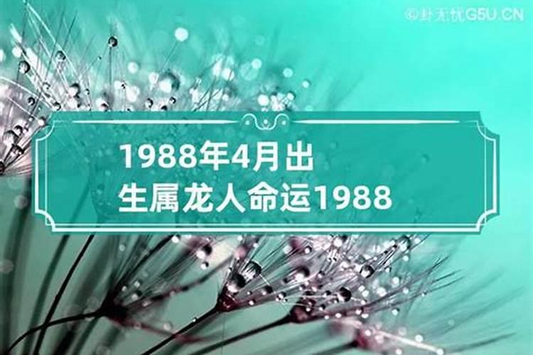 1988年人出生运程