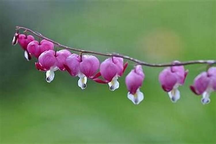 风水师一年挣多少钱