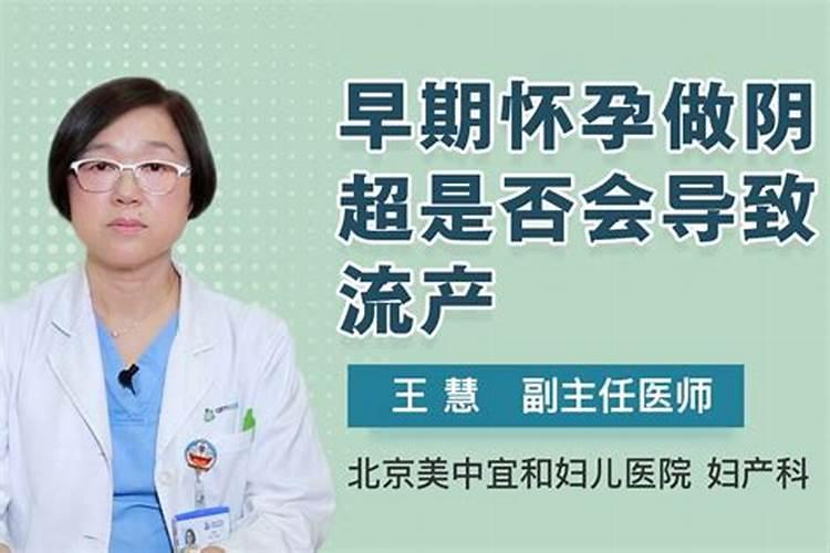 梦见一只大黄狗咬我腿