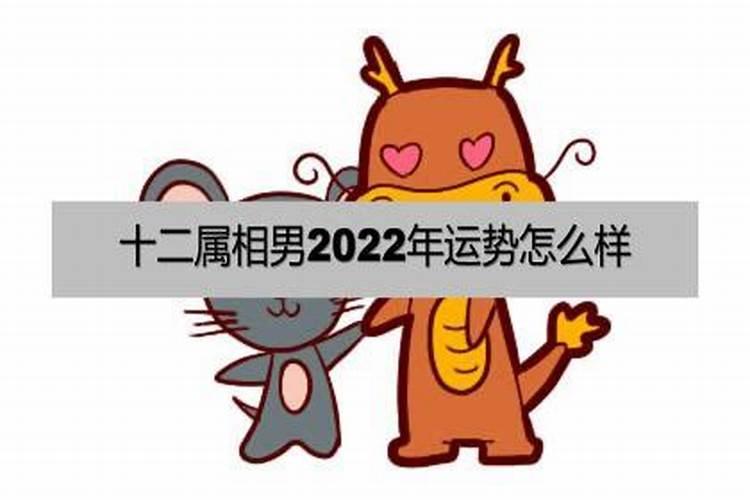 1973年男在2022年运势